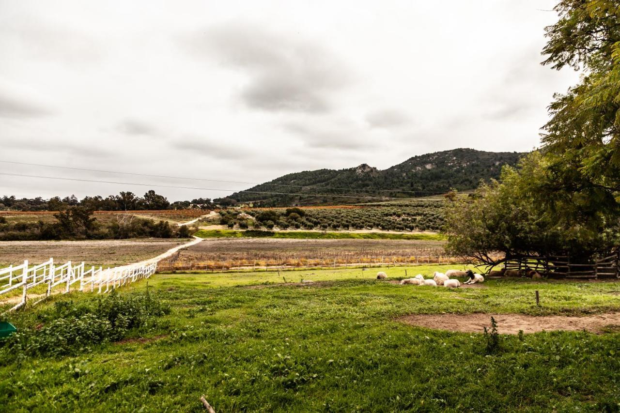 Ayama Wine Farm - Manor House Wellington Exterior foto